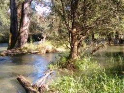 Pista ciclabile del Brenta