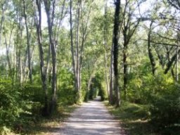 Pista ciclabile del Brenta